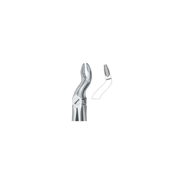 Tooth Extracting Forceps|(eng)