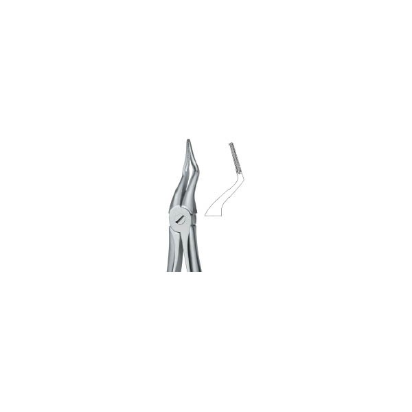 Tooth Ext Forceps